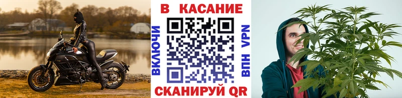 Все наркотики Конаково Конопля  МЕФ  КОКАИН  Галлюциногенные грибы  Гашиш 