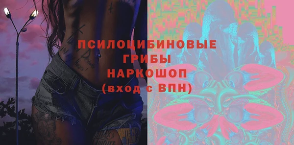 мдпв Белокуриха
