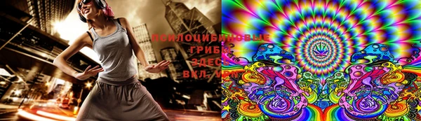 гидропоника Белоозёрский